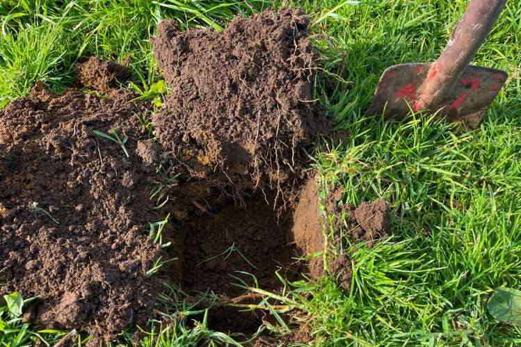 392 and 421 Journeys End Tapora_2