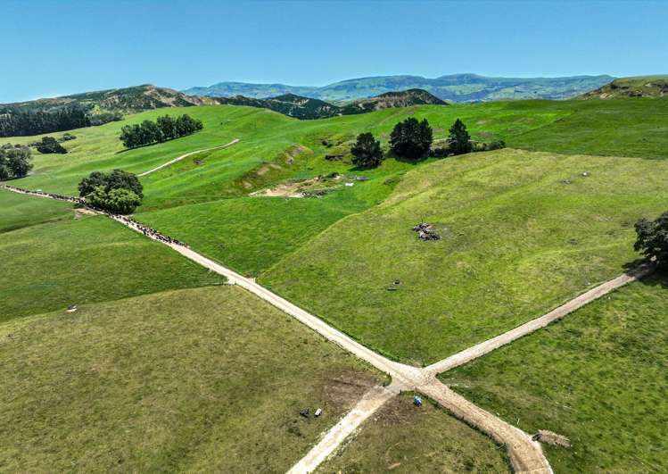 108 Sandy Creek Road Tutira_23