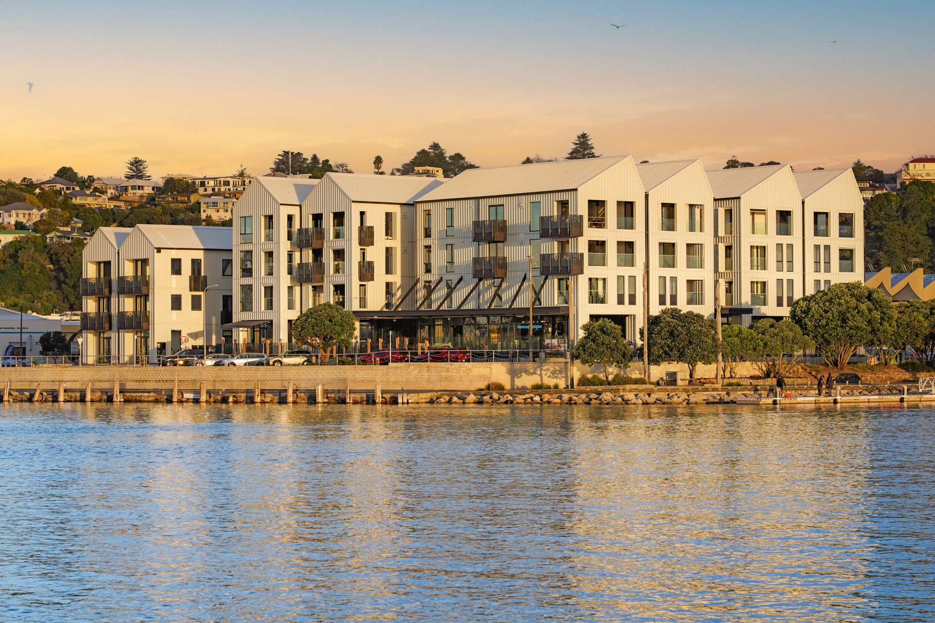 APT 204/11 Customs Quay Ahuriri_0