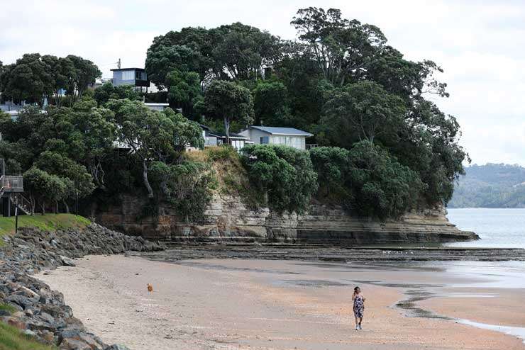 Houses along Whangaparaoa Peninsula