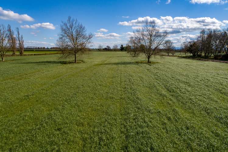 O'Donoghue Road Hauraki Surrounds_5