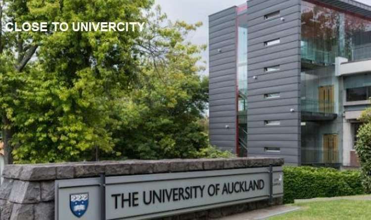 519/133 Beach Road Auckland Central_13