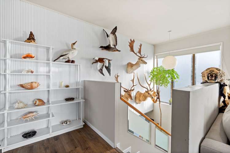 3 Elgin Place Red Beach_2