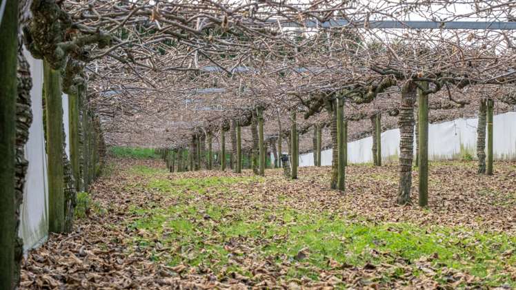 9765 State Highway 2 Waihi_12