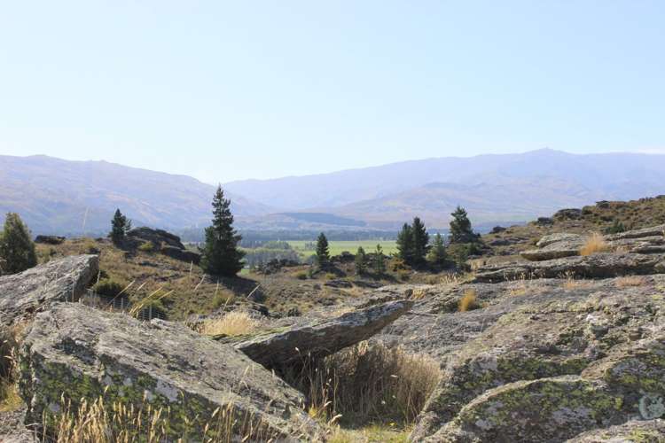 196 Chapman Road Alexandra_7