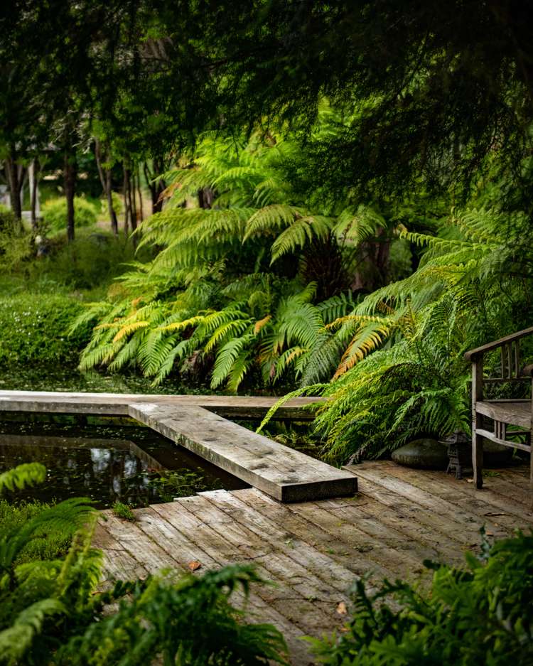 239 Redwood Street Witherlea_34