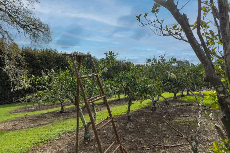 17 Maraenui Drive Kerikeri_20