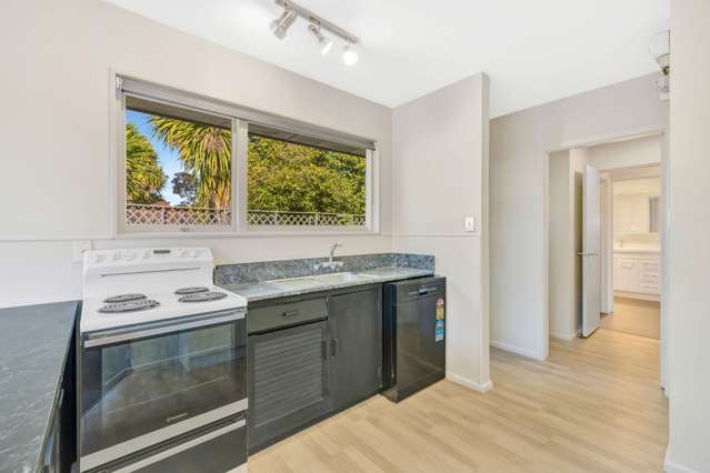 43 Charles Upham Avenue Hillmorton_4