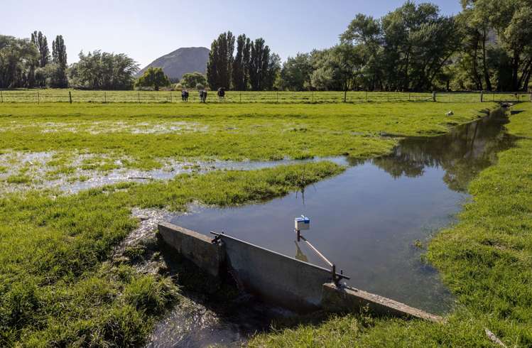 Riverbank Road Wanaka_12