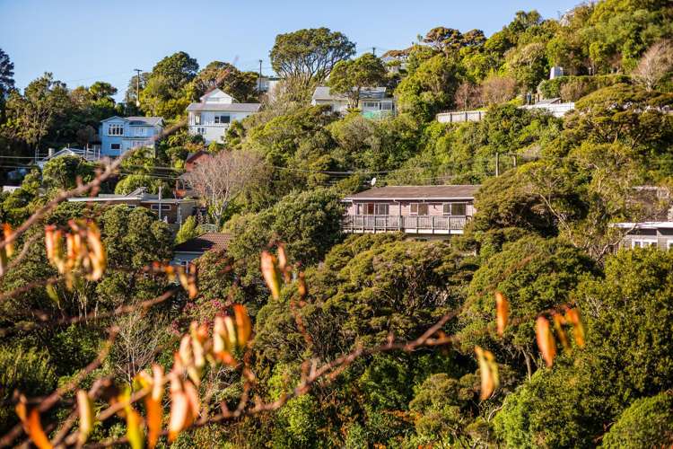 10 Mairangi Road Wadestown_29