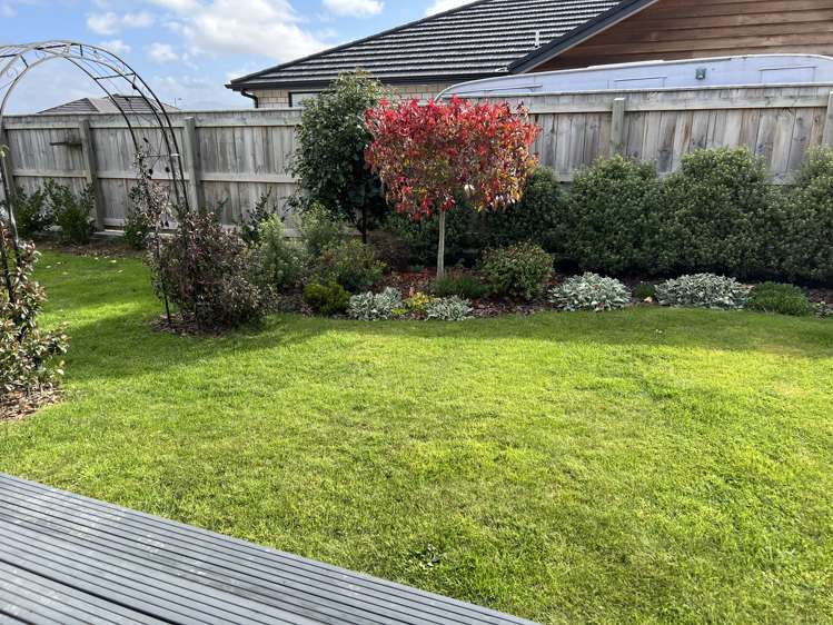 1 Fantail Avenue Carterton_14