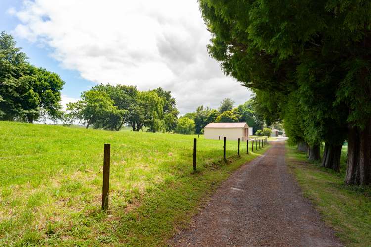 113 Domain Road Putaruru_5