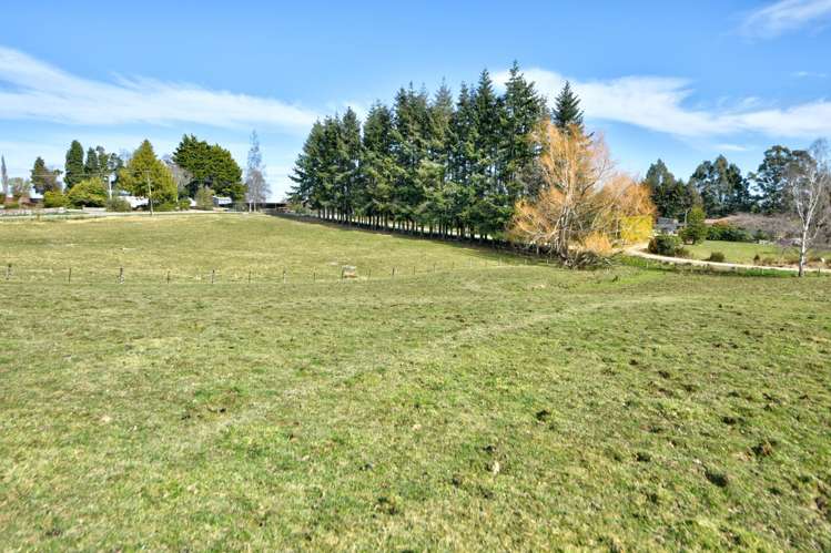 Braudigam Road East Tapanui_26