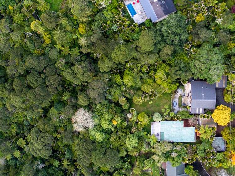 67 Kohu Road Titirangi_18