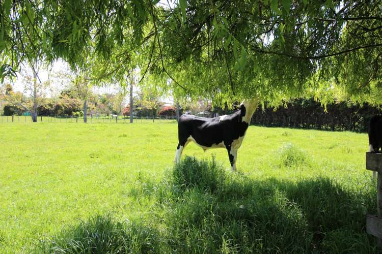 53 Takahiwai Road Ruakaka_7