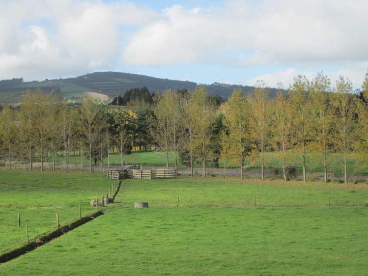 130 Carruth Road Poroti_24