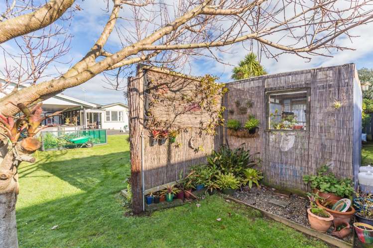 16 Trafalgar Street Levin_21