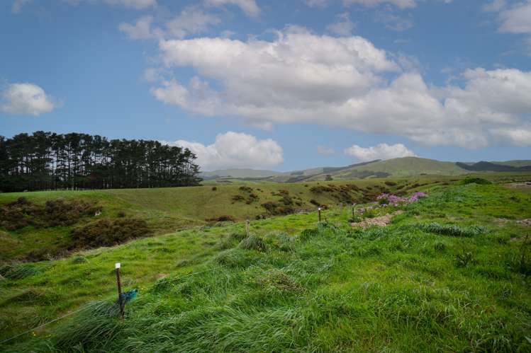 44 Atlantic Drive Fitzherbert_5