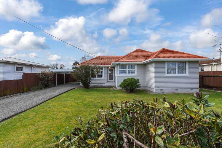 7 Beatty Street Levin_14