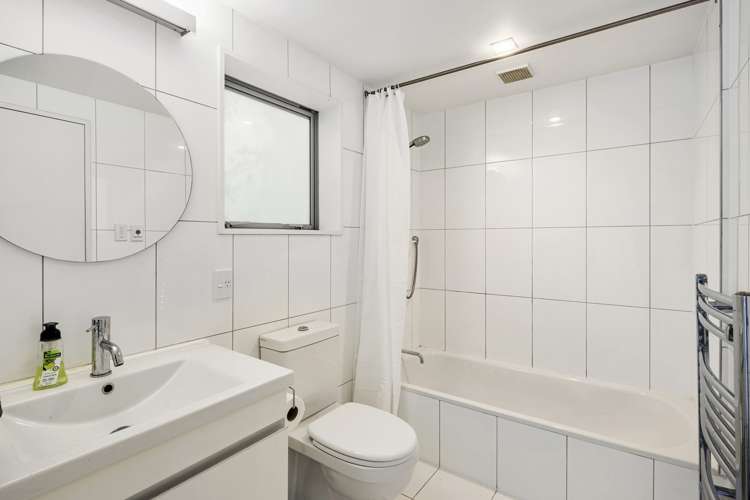 26b Koromiko Road Aro Valley_11