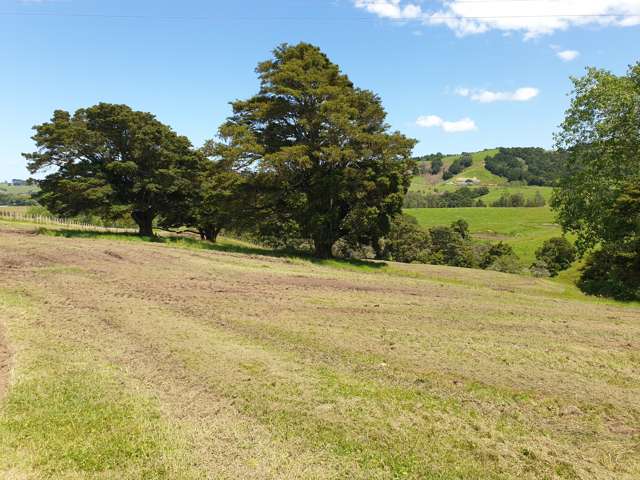 Lot/101 Franklin Road Paparoa_3