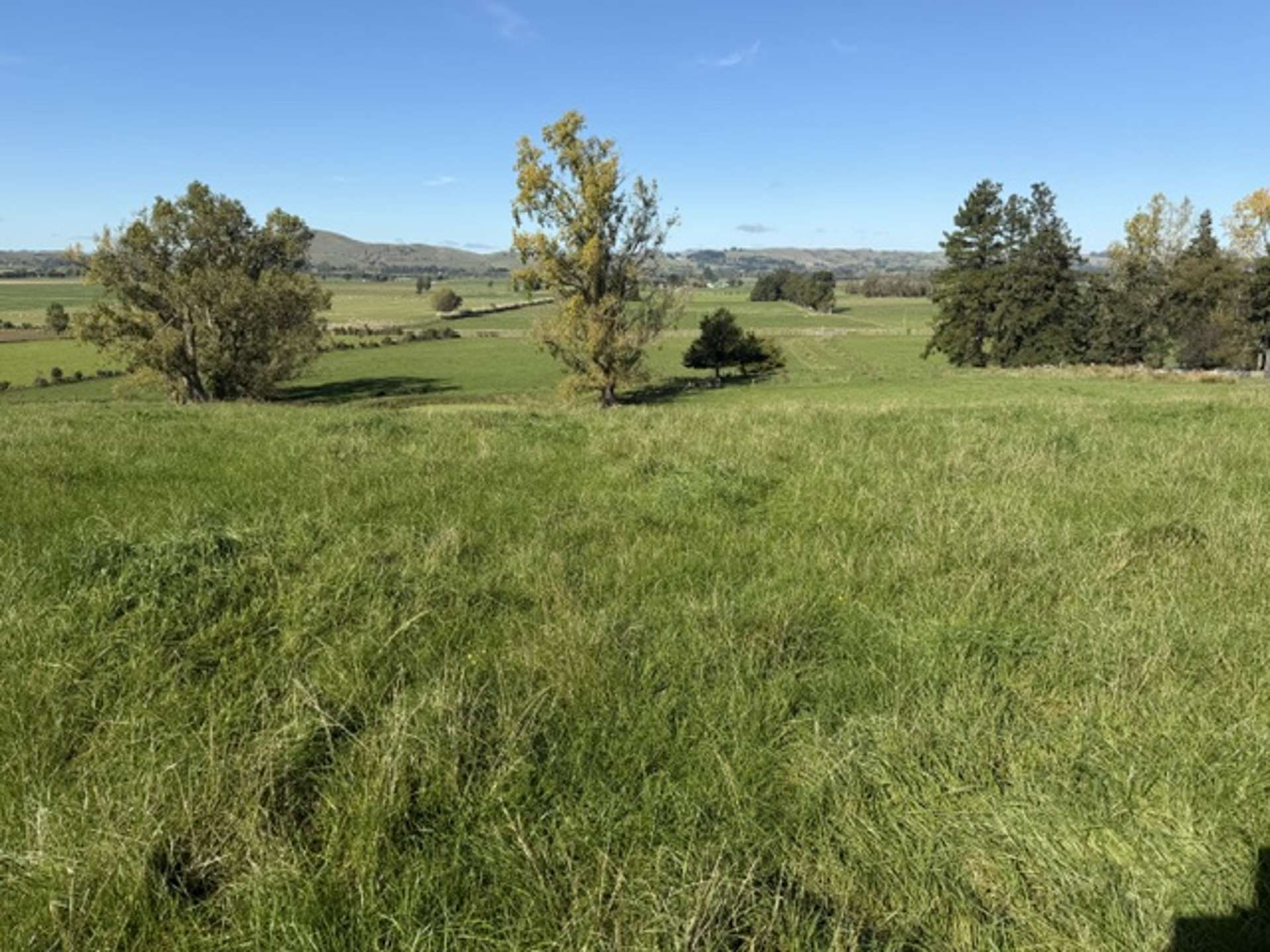 235 Te Ore Ore-Bideford Road Masterton_0