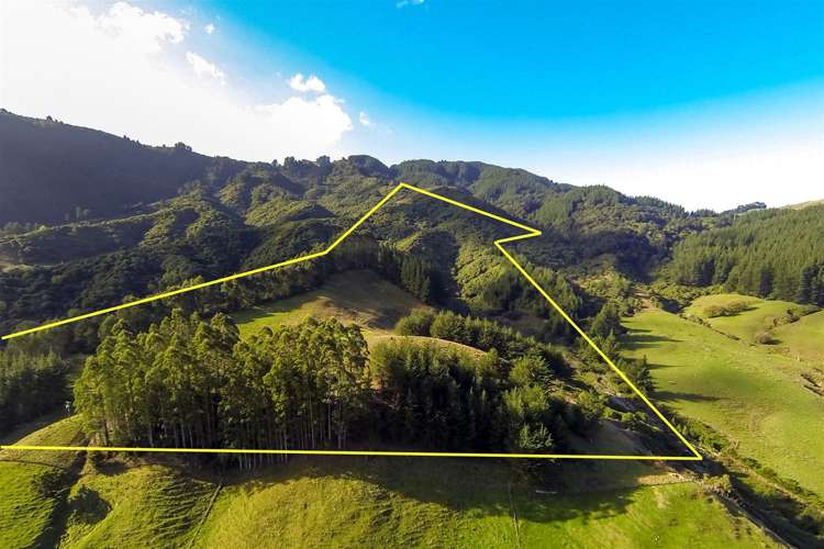 572 Riwaka Valley Road Motueka_17