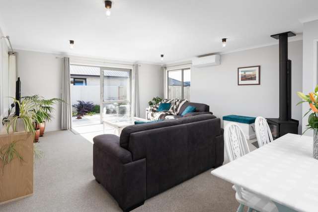 10 Mustang Alley Blenheim_3