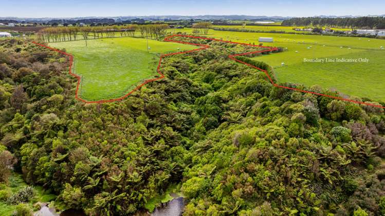 53 Muggeridge Road Manutahi_39