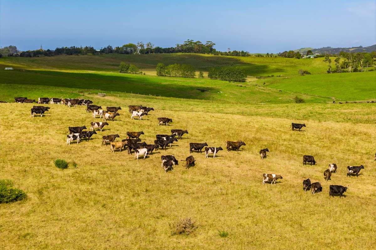 271 Pataua South Road_5