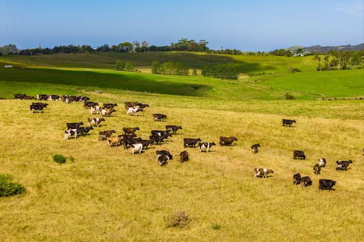 271 Pataua South Road Pataua South_9