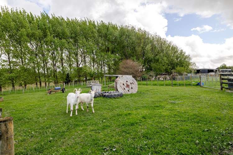 235D Watershed Road Hiwinui_17