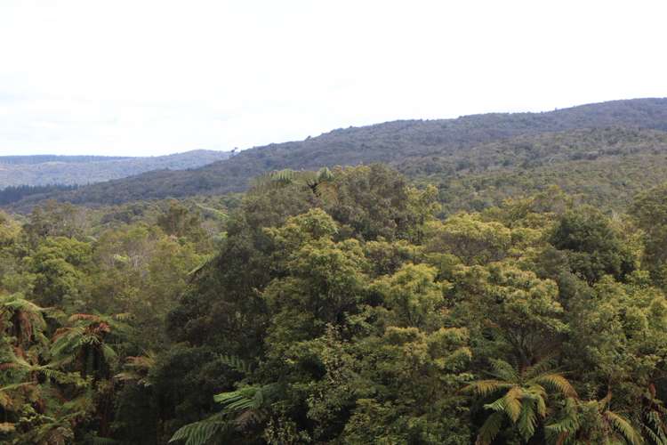 Opouteke Road Dargaville Surrounds_2