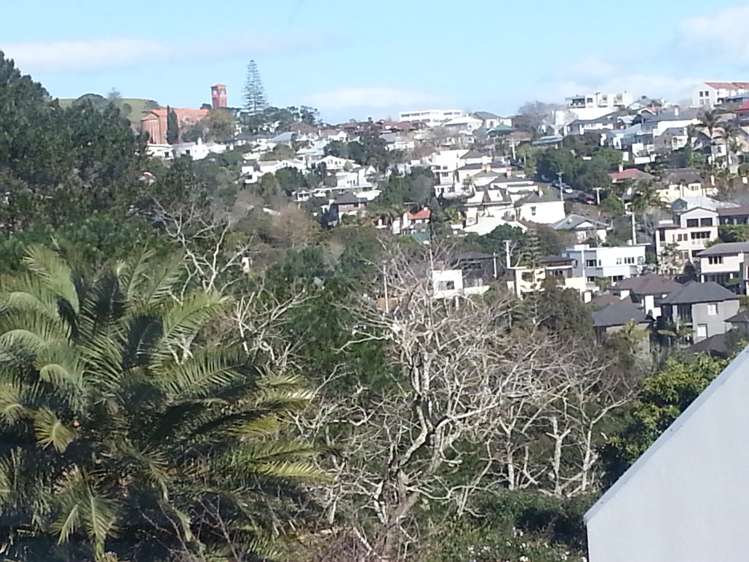 3j Laxon Terrace Remuera_14