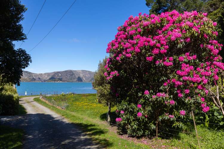 1815 Port Underwood Road Port Underwood_14