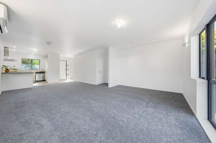 40A Wingate Street Avondale_6