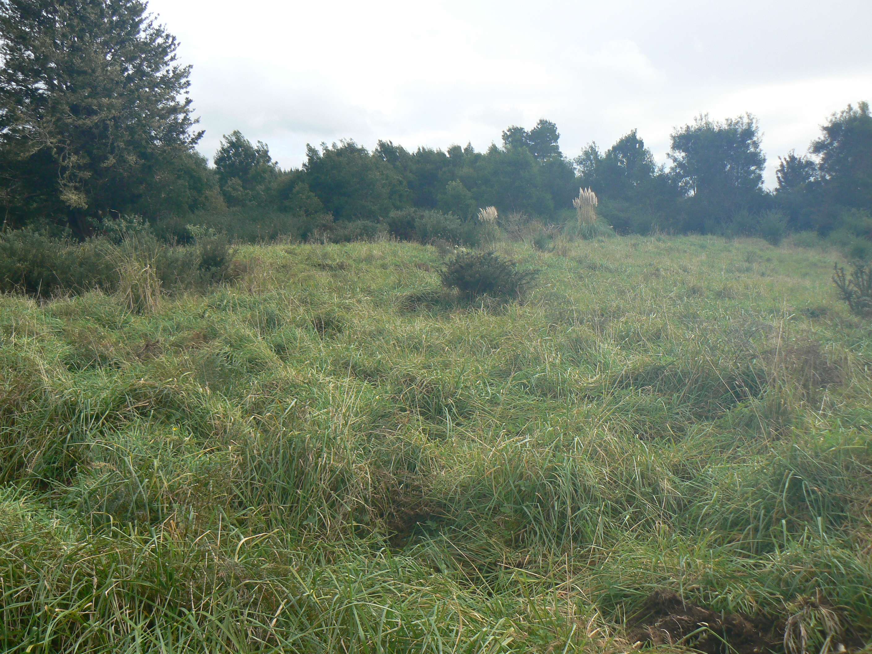 6084 Mangakahia Road Tautoro Far North Rural Property For Sale