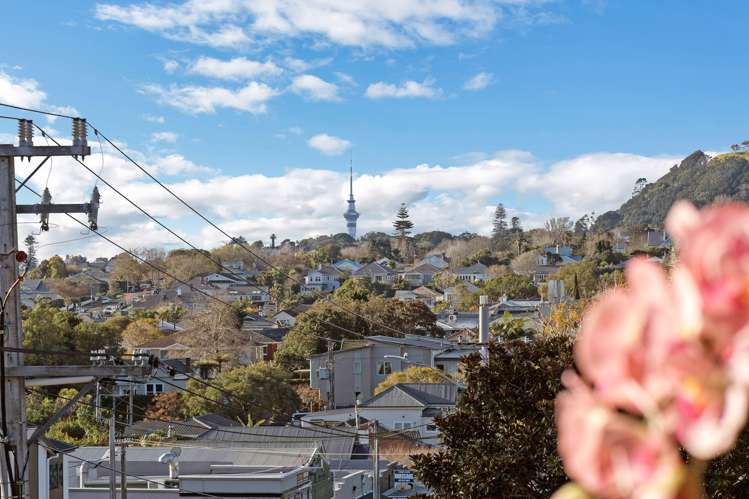 818 Mount Eden Road Mt Eden_8