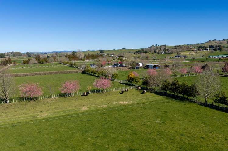 101 Ormsby Road Pirongia_7