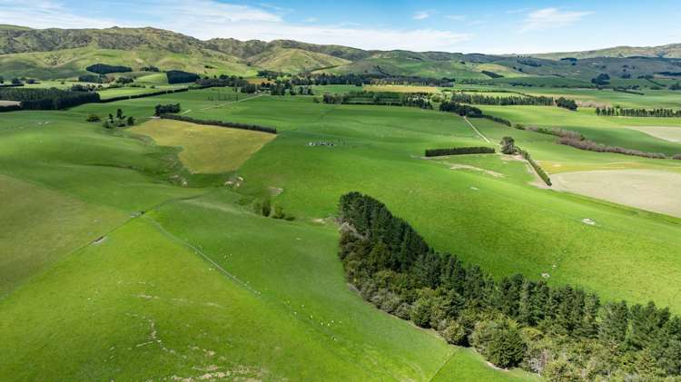 1443 Omihi Road Omihi_31