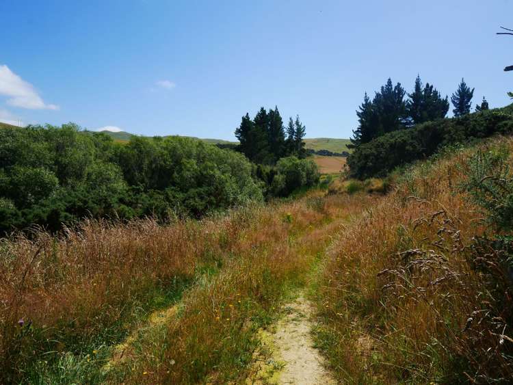 2705 Waikouaiti-Waitati Road Waikouaiti_14