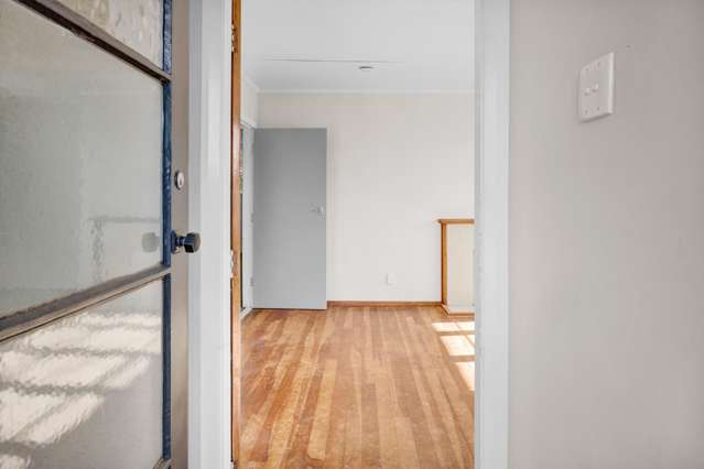 82 Glenpark Avenue Frankleigh Park_3
