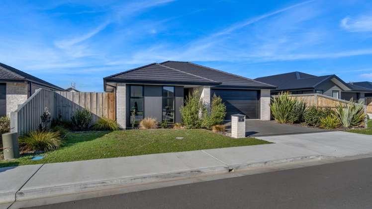 28 Higgins Street Ravenswood_16