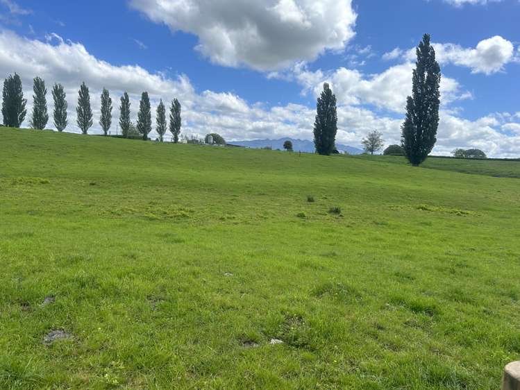 Lot 1 Bowman Road Te Awamutu_3