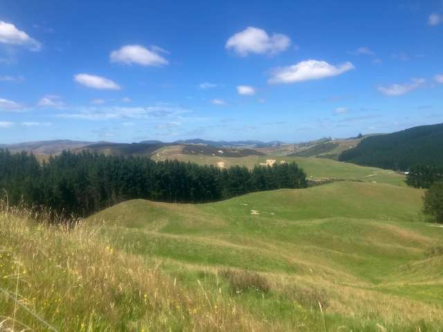 25 Mangamaire Road Dannevirke_4