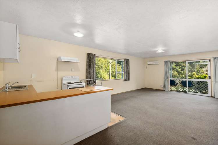 3 Suffolk Street Picton_23