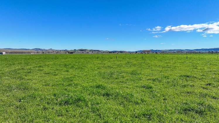 400 Hopai West Road Waitakaruru_15