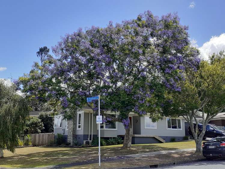 11 Parkland Crescent Kamo_23