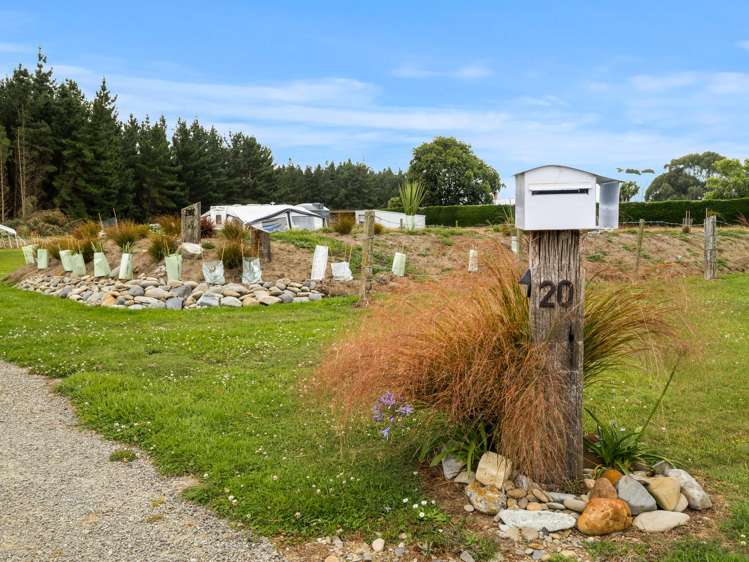 20 Stafford Street Hampden_18