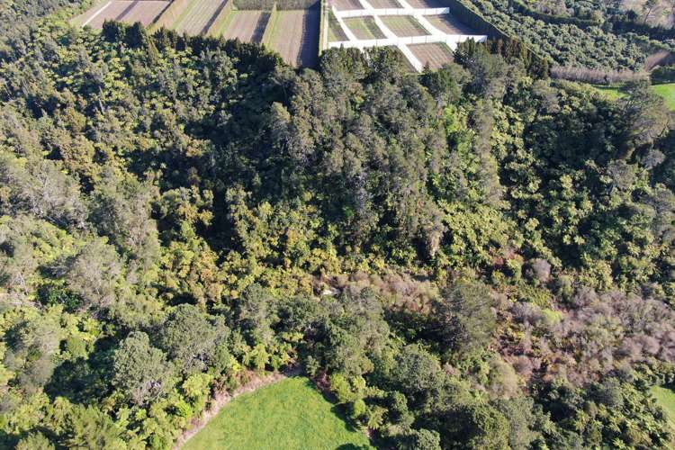 356 Omanawa Road Kaimai_23